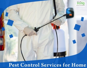 Quality Pest control service in Bangalore with TechSquadTeam
